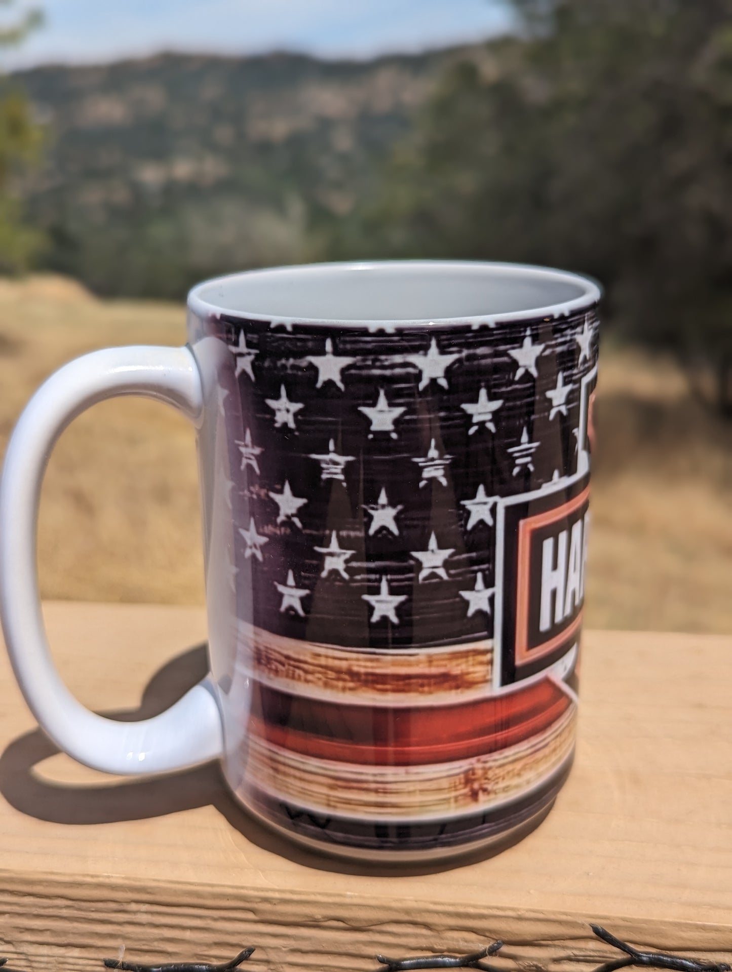Biker American Flag